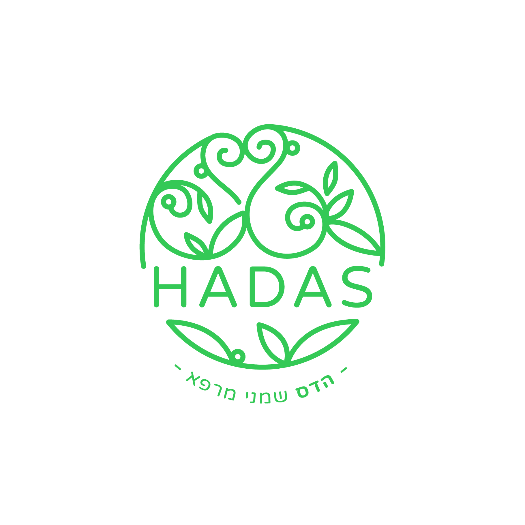 הדס שמני מרפא