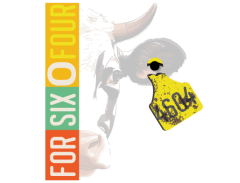 forsixOfour 4604