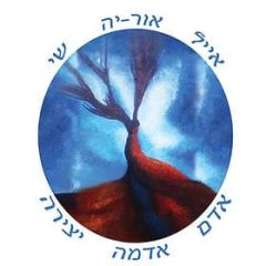אייל שי {אדם-אדמה-יצירה}