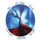 אייל שי {אדם-אדמה-יצירה}