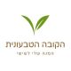 הקובה הטבעונית